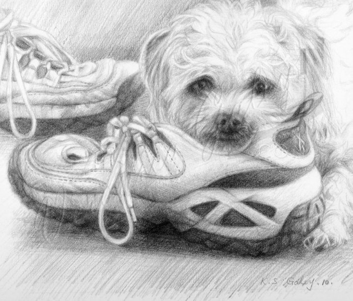 Boo in a shoe (sketch)