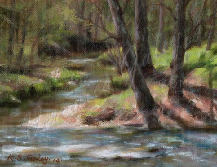 River Woods