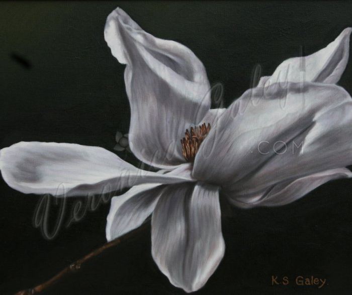 Southern Flower