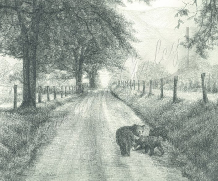 Three Bears