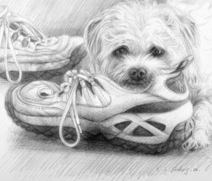 Booinashoesketch2