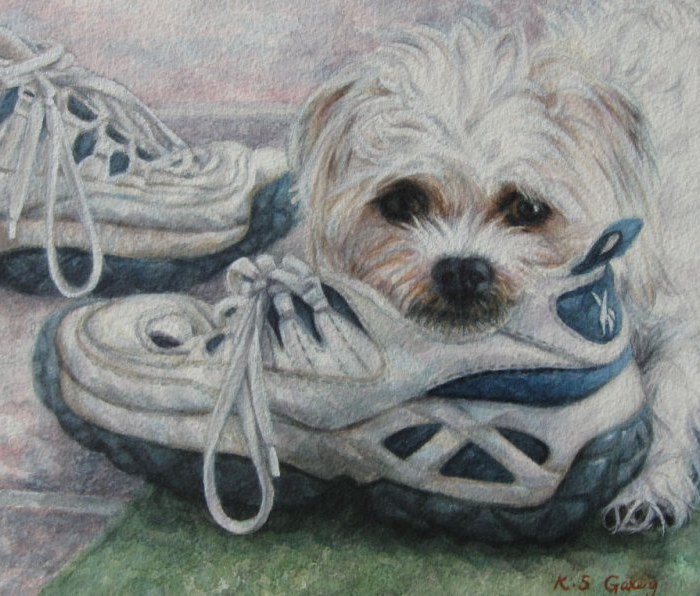 booinashoe2